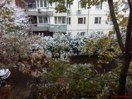 С днем жестянщика всех. В Москве снег и холодно