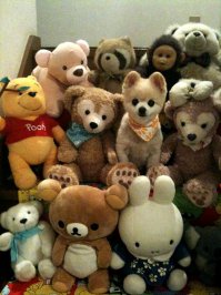 15 собак, которые гордятся своим чудесным потомством