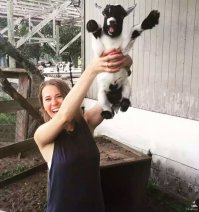 Весёлый козлик