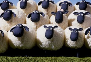 А часто срабатывает " стадный " рефлекс!!! Замечали???