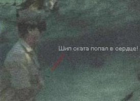 Удивительная фотосессия со скатами