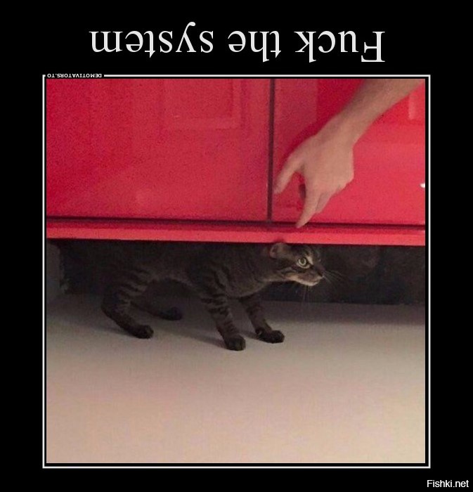 Да просто кот под шкафом