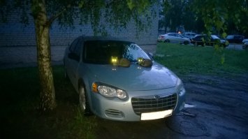 Падлы!!! Постоянно тусят у меня на капоте, потом вся машина в следах...
