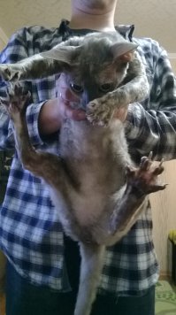 Ну и мой велосипед )))