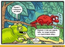 Мимикрия: Животные в камуфляже