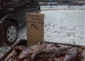 Разбудите для меня парочку!)