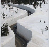 это япония например. и до заполярья ей срать и срать