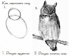Бетонный пол, который выглядит как деревянный