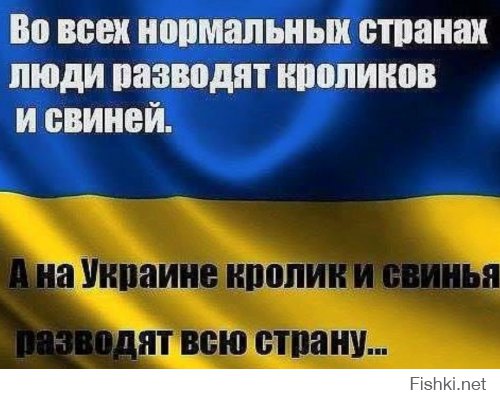 США управляют Украиной. Депутаты Верховной Рады уже не скрывают.