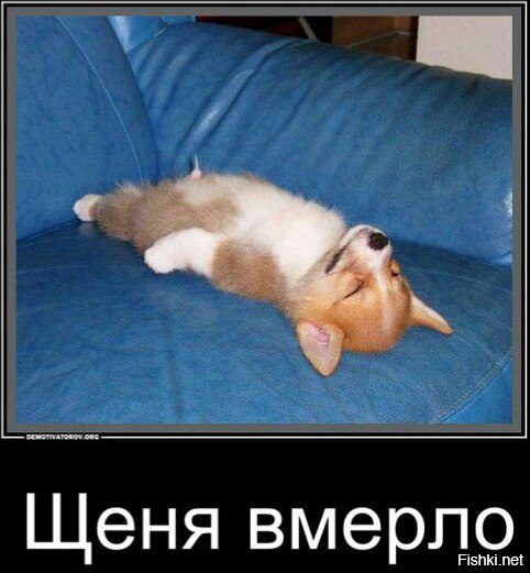 Россия/Украина. Что дальше?