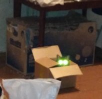 Мой засранец. :)