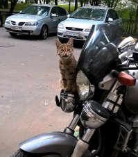 Не знаю, не знаю, ребятки, я пока ничего не заканчивал :) 
А с ментами из начала видео всё же не согласен. Зря была эта погоня.  Ладно он сам расшибся, я не имею дурацкой мотопривычки жалеть тупых лихачей. Сам за 15 лет ни разу себя так не вёл. Но ведь он кого-то угробить мог. А погоня, как таковая, всё равно смысла не имела - свернул бы от них куда-нить во дворы, да и газанул бы через тротуары.