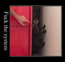 Подборка демотиваторов, которые поднимут вам настроение!