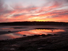 Белое море, Кольский полуостров