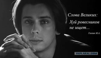 Остроумный интернет