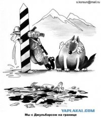 Веселые картинки