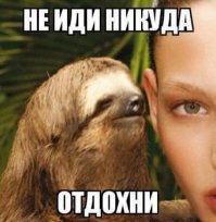 Правила жизни ленивцев