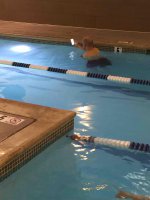 Этот с телефоном плывет, так и его кто-то фоткает... там по-ходу все на телефонах