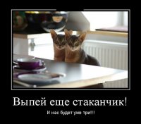 Фотоподборка за 12.10.2015