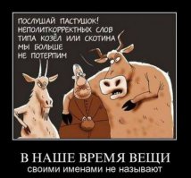 Подборка демотиваторов, которые поднимут вам настроение!