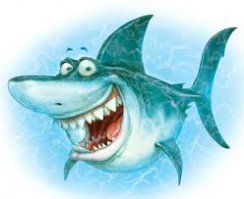 Акула напала на этого мужчину, а в итоге спасла ему жизнь