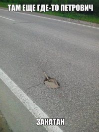 Очередная подборка автоприколов