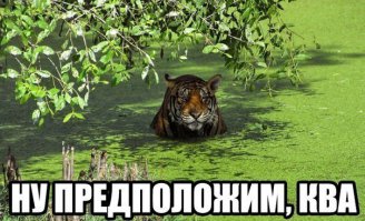 Мимикрия: Животные в камуфляже