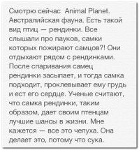 Смешные комментарии из социальных сетей 12.10.15