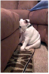 не обиделась я.