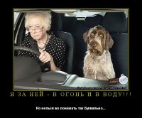 Подборка демотиваторов, которые поднимут вам настроение!