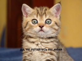 35 удивительных фото ужасно испуганных за свои жизни людей