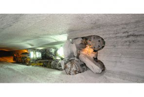 "Артемсоль", Украина