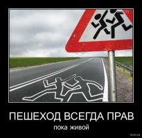 Водилы гнали ну и пешик как то слишком хотел премию Дарвина!!!