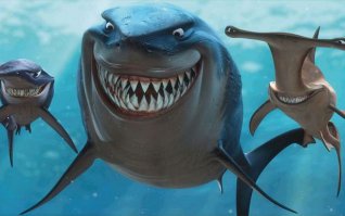 Акула напала на этого мужчину, а в итоге спасла ему жизнь