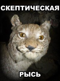 Необычный конкурс Comedy Wildlife Photography Awards
