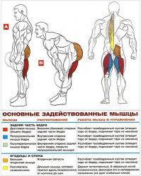 по другому румынская тяга