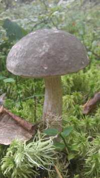 Сказочные осенние пейзажи чешского фотографа