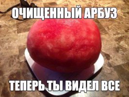 Безумный арбузный сезон закрыт. Подводим итоги 