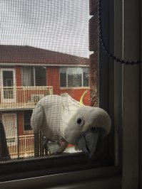 Ку-ку! Ёпта:)