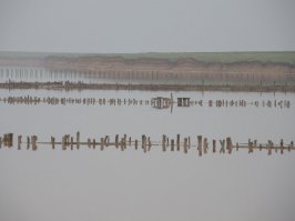 Старые соляные чеки на Сиваше. И действующие. Сасык-Сиваш под Евпаторией.