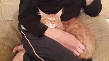 Наш тоже растет.
Вот такие мы большие куны!:)