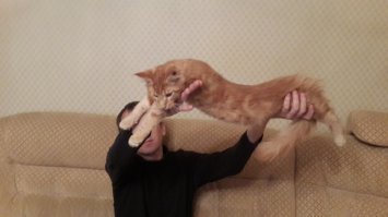 Наш тоже растет.
Вот такие мы большие куны!:)