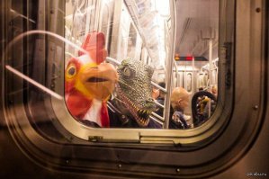 Фотоподборка за 13.10.2015