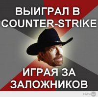 10 действительно правдивых фактов о Чаке Норрисе