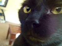 Какое брутальное лицо!!!!!!!!!!!