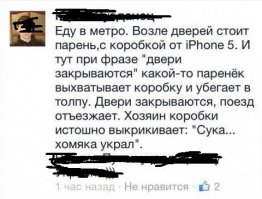 А вот и про того хомячка история...