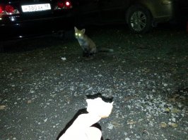 Сам только с рыбалки, такая же история)))