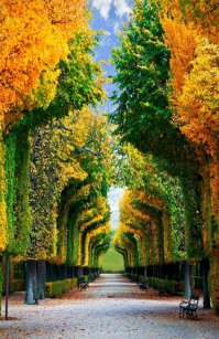 Красоты золотой осени с разных уголков земли