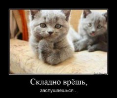 Подборка демотиваторов, которые поднимут вам настроение!