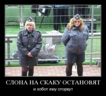 Капитуляция принята ))